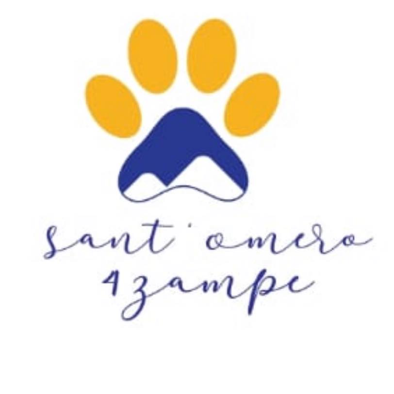 306451117_460841042758270_5546120695855771189_n